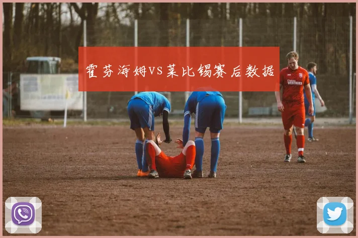 霍芬海姆vs莱比锡赛后数据